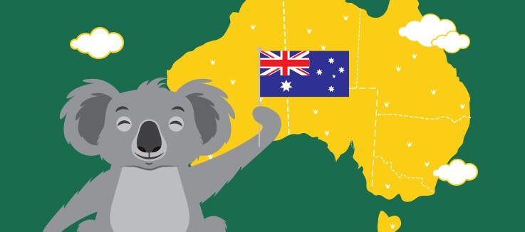 Where to spot a Koala 